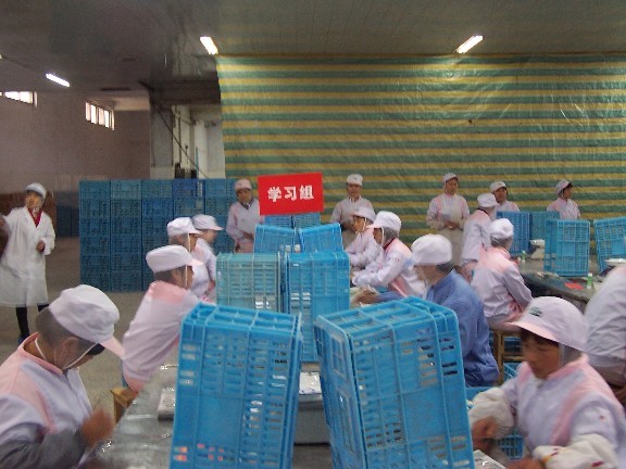 国产午夜福利十八禁在线观看